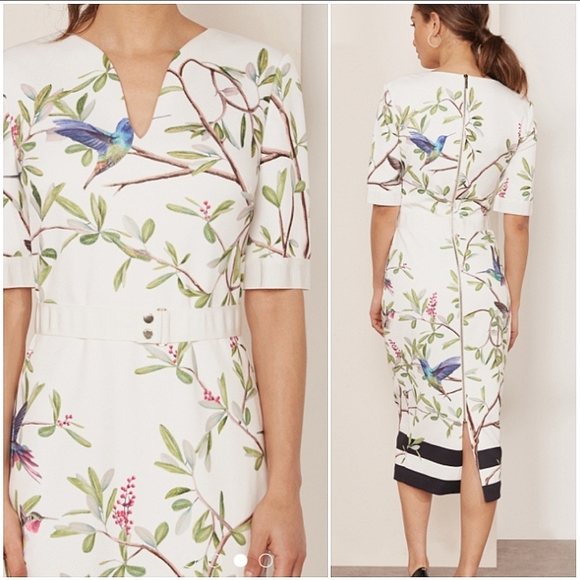 🍒NWOT🍒 TED BAKER EVERLY BODYCPN DRESS - Picture 6 of 8